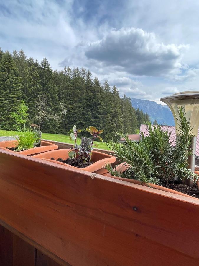 Ferienhaus Praschberg Niederndorferberg Екстер'єр фото
